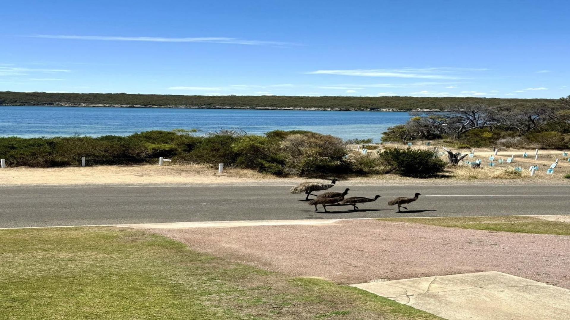 White Springs, Our Peaceful Holiday House In Coffin Bay מראה חיצוני תמונה